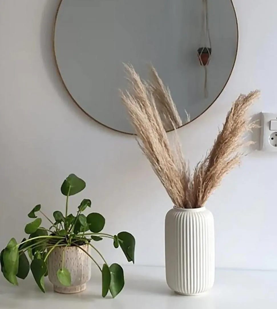 Studio'S In The Center Of Amsterdam With Canal View! Nizozemsko